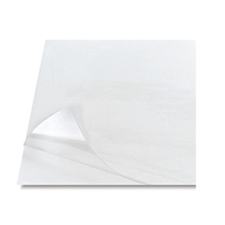 Diploma Page Protectors for Certificate